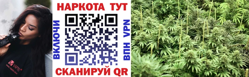 Купить наркотик аптеки Адыгейск Кокаин  СОЛЬ  Псилоцибиновые грибы  МЕФ  ГАШИШ 