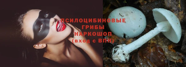 дурь Алексин