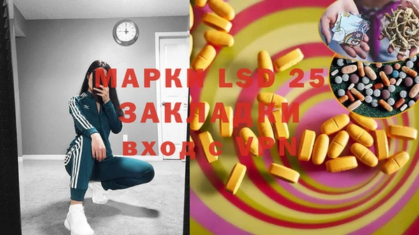 дурь Алексин