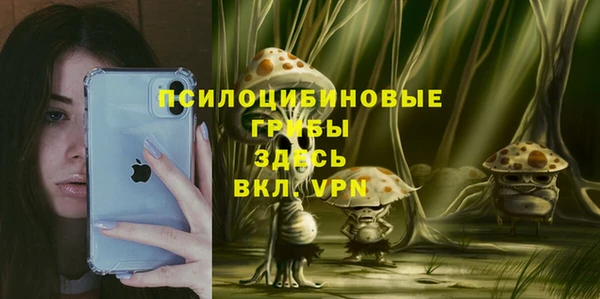 метамфетамин Алексеевка