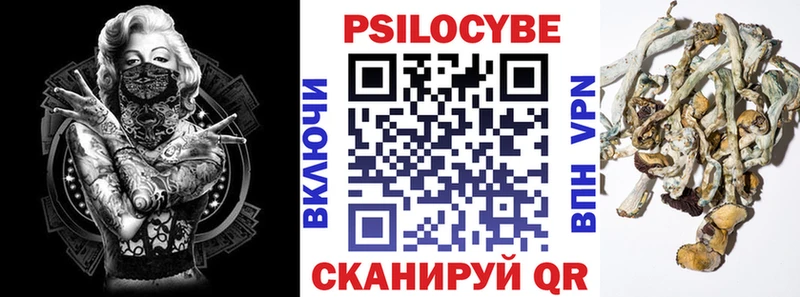Псилоцибиновые грибы Magic Shrooms  даркнет клад  Адыгейск 